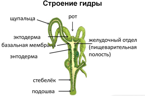 Что такое кракен маркетплейс курительный смесс